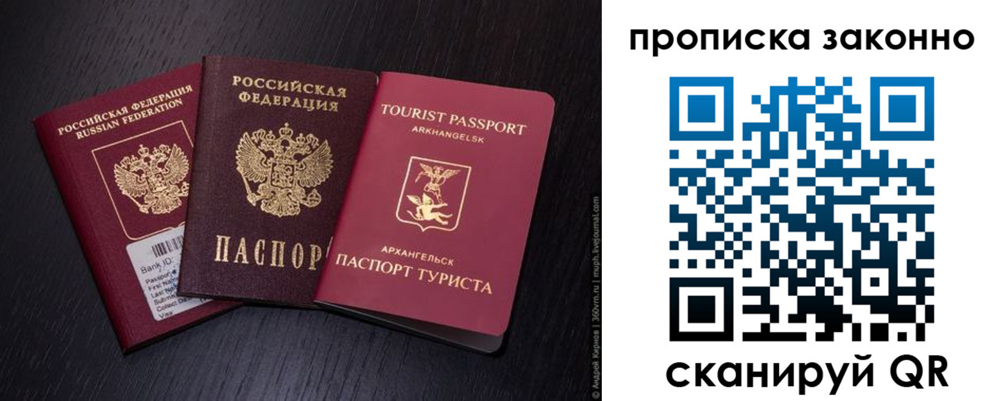 прописка штамп в Воронежской области